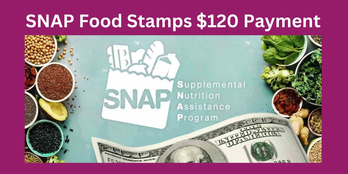 SNAP Food Stamps $120 Payment