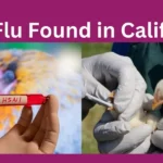 Bird Flu Found in California