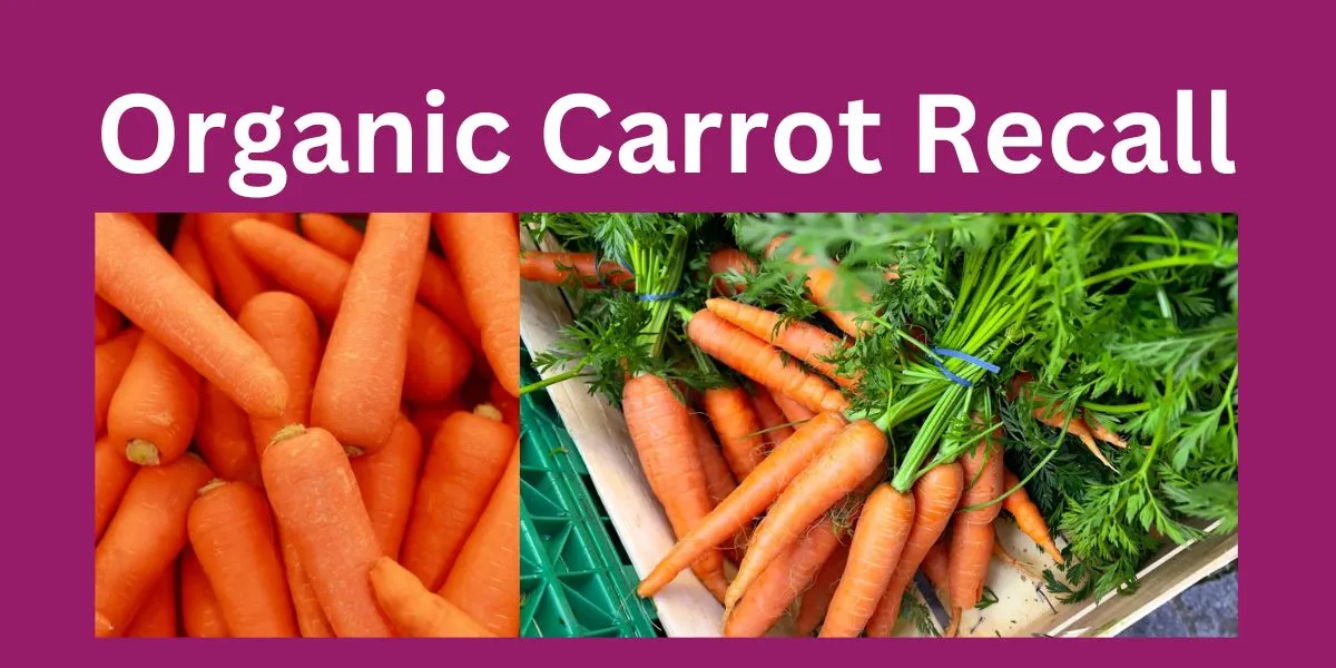 Organic Carrot Recall