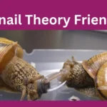 The Snail Theory Friendship