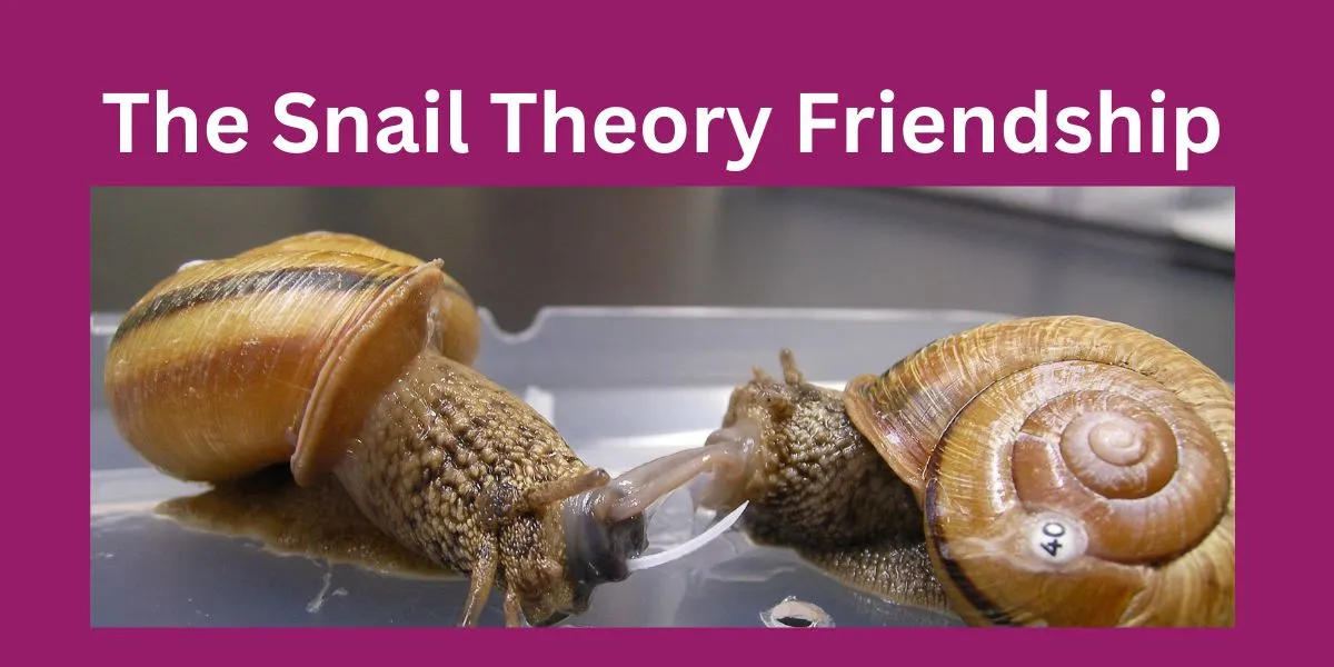 The Snail Theory Friendship