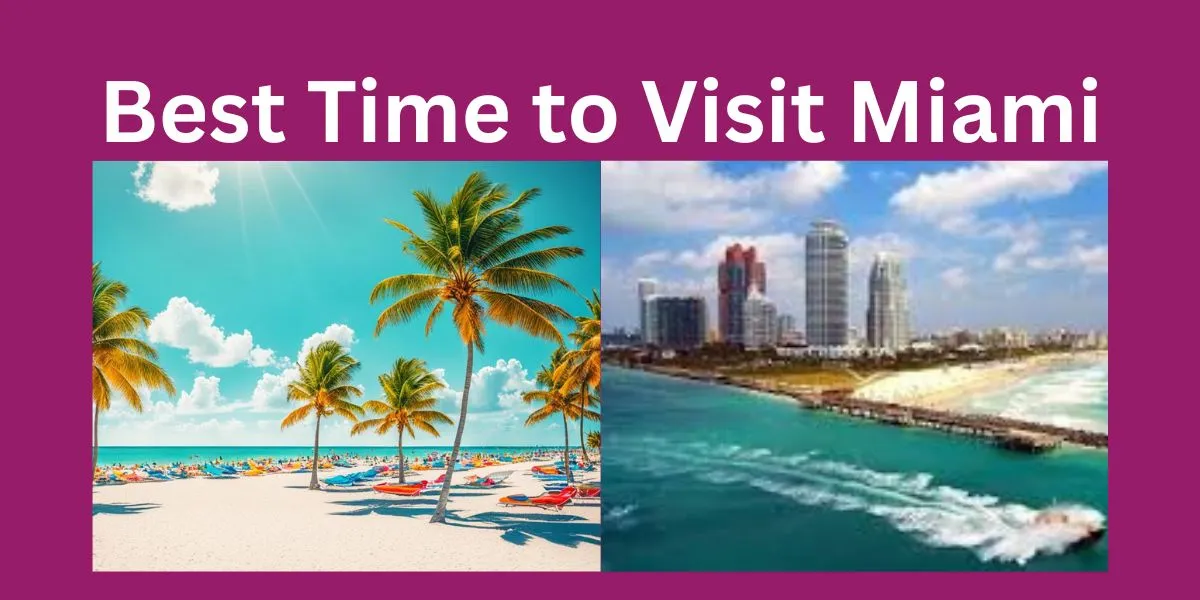 Best Time to Visit Miami